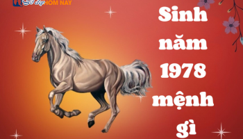 sinh-nam-1978-menh-gi