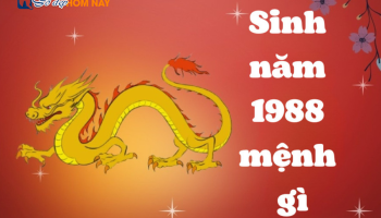 sinh-nam-1988-menh-gi