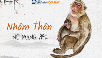 sinh-nam-1992-menh-gi