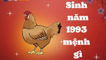sinh-nam-1993-la-menh-gi