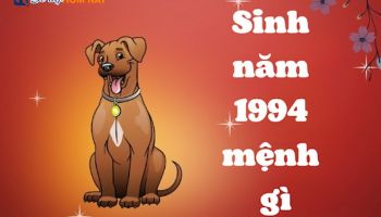 sinh-nam-1994-menh-gi