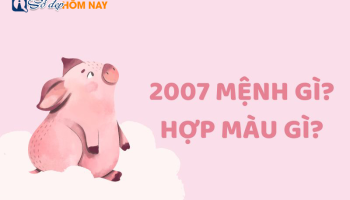 sinh-nam-2007-menh-gi