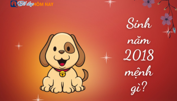 sinh-nam-2018-menh-gi