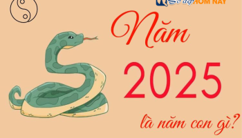 sinh-nam-2025-menh-gi