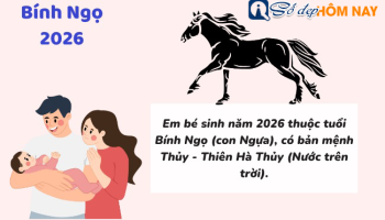 sinh-nam-2026-menh-gi-tuoi-binh-ngo-hop-tuoi-nao-mau-gi