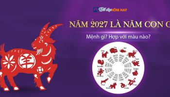 sinh-nam-2027-menh-gi