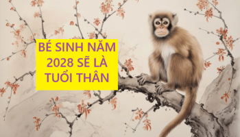 sinh-nam-2028-menh-gi