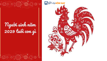 sinh-nam-2029-menh-gi