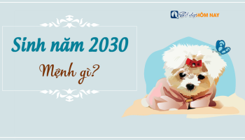 sinh-nam-2030-menh-gi