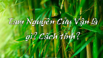 tam-nguyen-cuu-van-284-215397