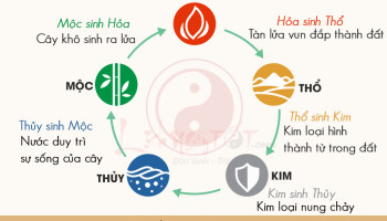 tran-phong-thuy-theo-ngu-hanh-284-200901