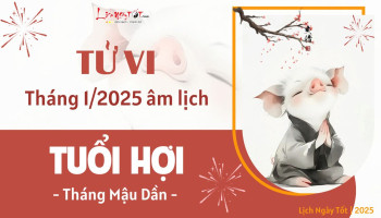 tu-vi-thang-1-2025-tuoi-hoi-am-lich-304-227692
