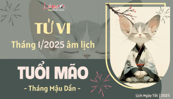 tu-vi-thang-1-2025-tuoi-mao-am-lich-304-227586