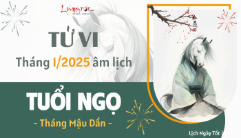 tu-vi-thang-1-2025-tuoi-ngo-am-lich-304-227614