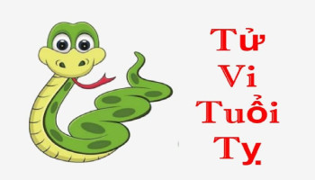 tu-vi-thang-10-2022-tuoi-ti-am-lich-304-217308