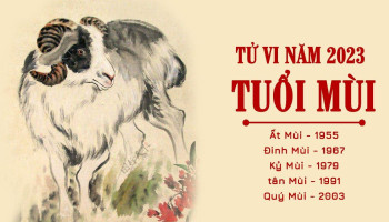 tu-vi-thang-11-2023-tuoi-mui-am-lich-304-222123