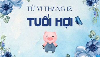 tu-vi-thang-12-2024-tuoi-hoi-am-lich-304-227389