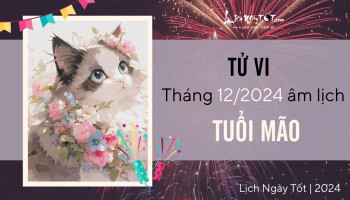 tu-vi-thang-12-2024-tuoi-mao-am-lich-304-227199