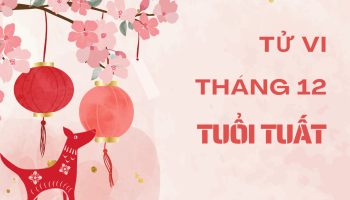 tu-vi-thang-12-2024-tuoi-tuat-am-lich-304-227387