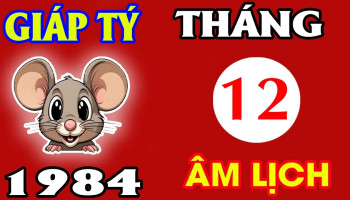 tu-vi-thang-12-2024-tuoi-ty-am-lich-304-227156
