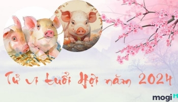 tu-vi-thang-2-2024-tuoi-hoi-am-lich-304-223494