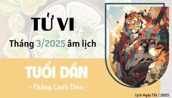 tu-vi-thang-3-2025-tuoi-dan-am-lich-304-228434