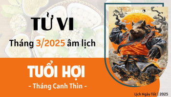 tu-vi-thang-3-2025-tuoi-hoi-am-lich-304-228497