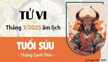 tu-vi-thang-3-2025-tuoi-suu-am-lich-304-228405