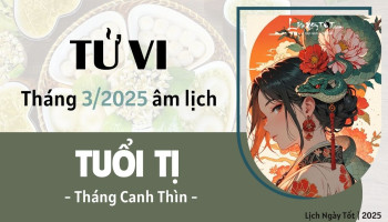 tu-vi-thang-3-2025-tuoi-ti-am-lich-304-228441