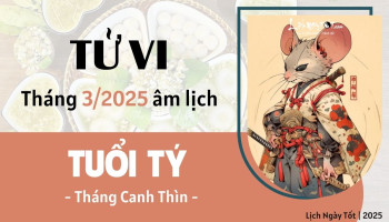 tu-vi-thang-3-2025-tuoi-ty-am-lich-304-228344