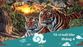 tu-vi-thang-4-2025-tuoi-dan-am-lich-304-228720