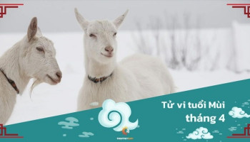 tu-vi-thang-4-2025-tuoi-mui-am-lich-304-228761