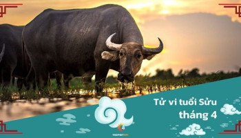tu-vi-thang-4-2025-tuoi-suu-am-lich-304-228712