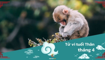 tu-vi-thang-4-2025-tuoi-than-am-lich-304-228765