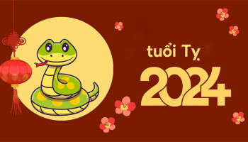 tu-vi-thang-6-2024-tuoi-ti-am-lich-304-224909