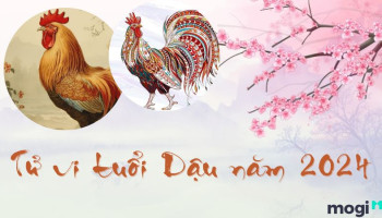 tu-vi-thang-7-2024-tuoi-dau-am-lich-304-225326