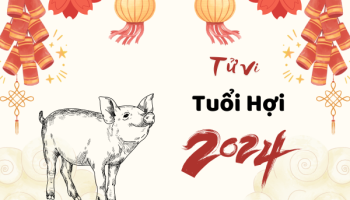 tu-vi-thang-7-2024-tuoi-hoi-am-lich-304-225343
