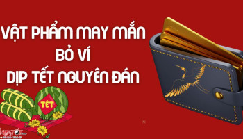 van-may-ngay-tet-nguyen