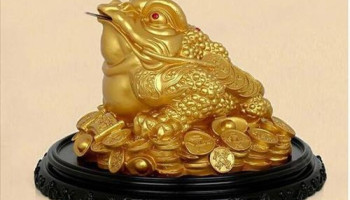 vi-tri-dat-coc-ngam-tien-284-187931