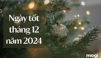 xem-ngay-tot-xau-thang-12-nam-2024-585-222501
