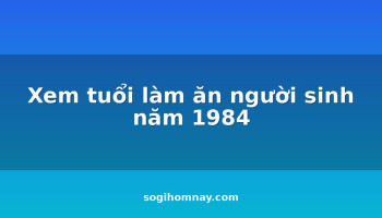 xem-tuoi-lam-an-nguoi-sinh-nam-1984