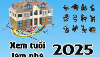 xem-tuoi-lam-nha-nam-2025-284-227436