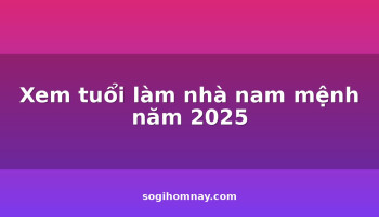 xem-tuoi-lam-nha-nam-menh-nam-2025