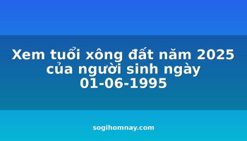 xem-tuoi-xong-dat-nam-2025-cua-nguoi-sinh-ngay-01-06-1995