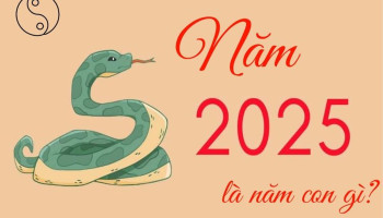 y-nghia-phong-thuy-cua-nam-at-ty-2025-284-227716