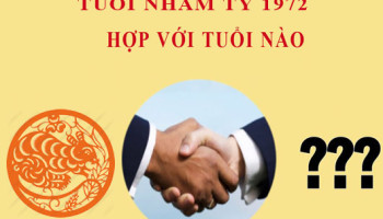 Sinh-nam-1972-Nham-Ty-hop-voi-tuoi-nao-3566