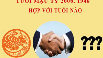 Sinh-nam-2008-Mau-Ty-hop-voi-tuoi-nao-3904