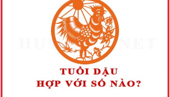 Tuoi-Dau-hop-voi-so-nao-theo-phong-thuy-4646