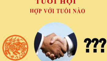 Tuoi-Hoi-hop-voi-tuoi-nao-2306