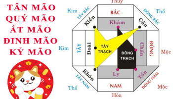 Tuoi-Mao-hop-huong-nao-3860